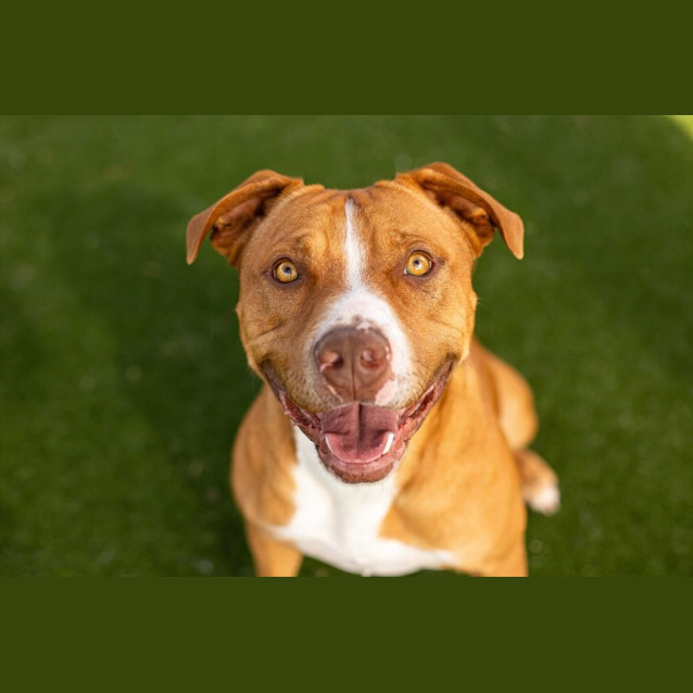 Photo of Oscar Imp 1121