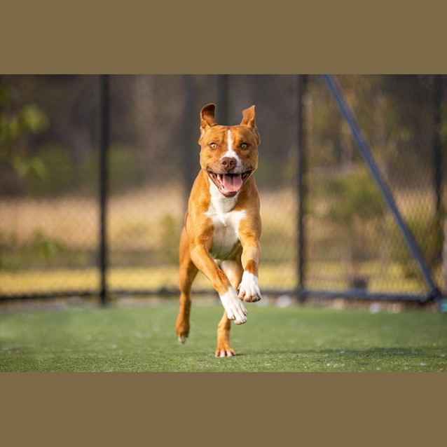 Photo of Oscar Imp 1121