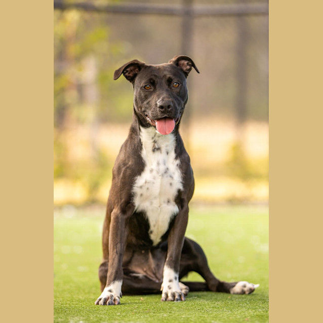 Photo of Patty Imp 1058