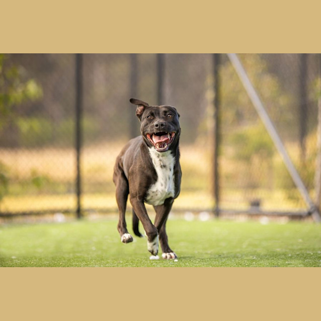 Photo of Patty Imp 1058