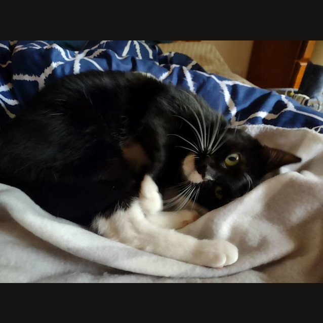 Photo of Peri Peri