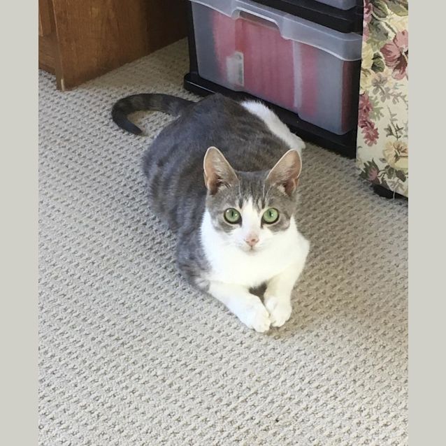 Photo of Chloe