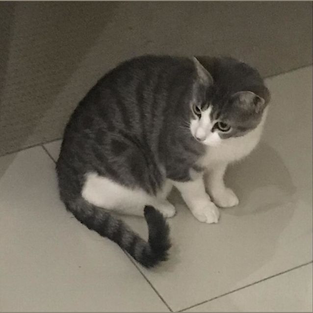 Photo of Chloe