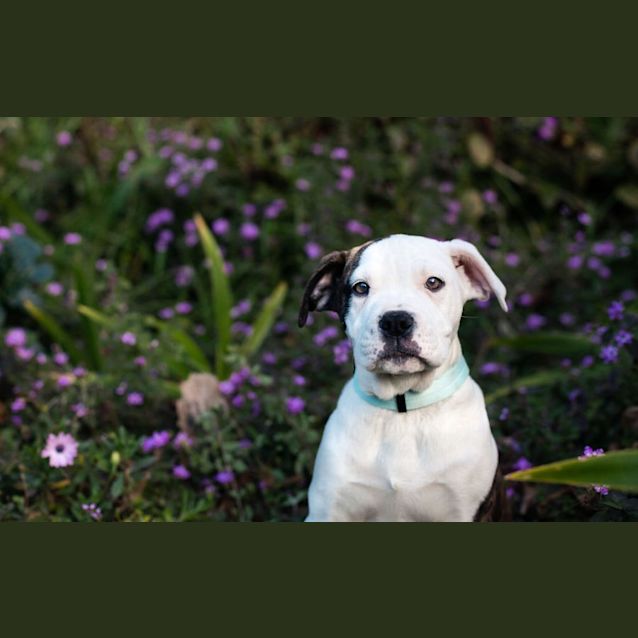 Photo of Alanis
