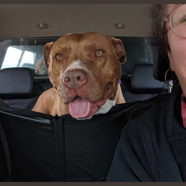 Photo of Rosie 