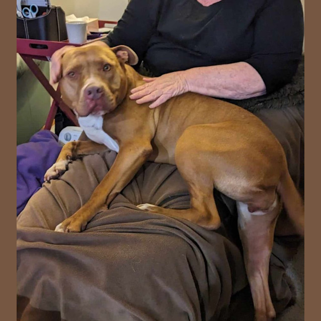 Photo of Rosie 