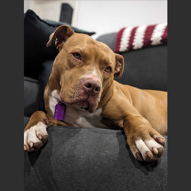 Photo of Rosie 