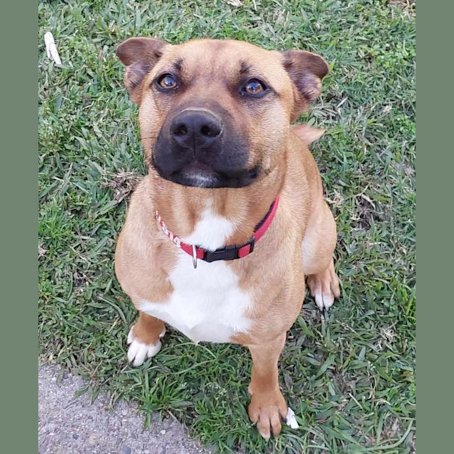 Photo of Rosie 🌹💞