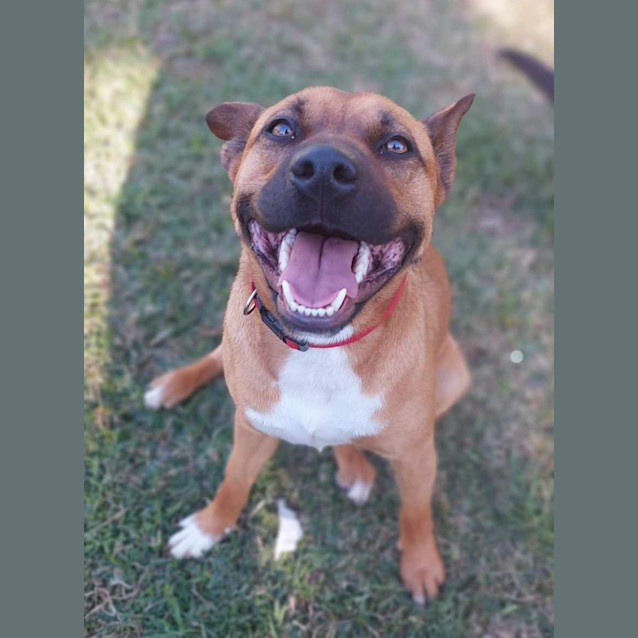 Photo of Rosie 🌹💞