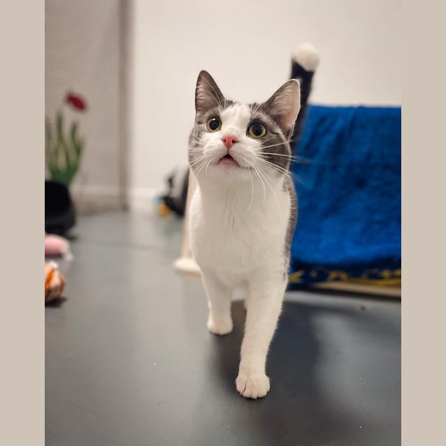 Photo of Clawdia