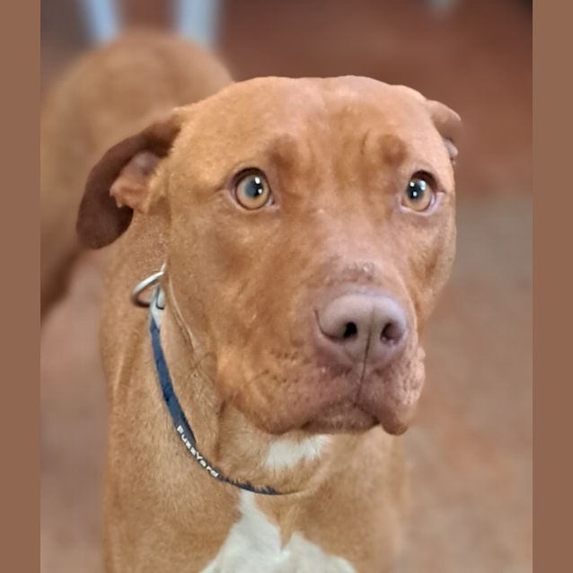 Photo of Penny