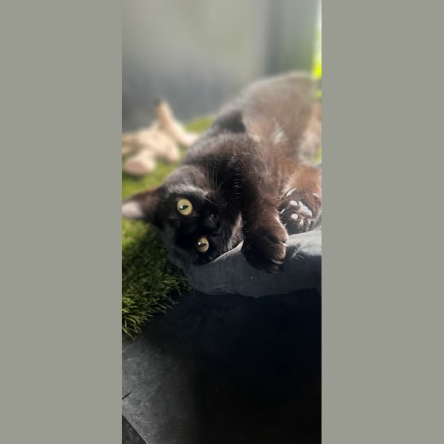 Photo of Miss Spot