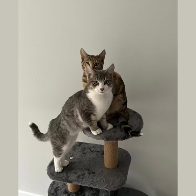 Photo of Bobbi & Coco