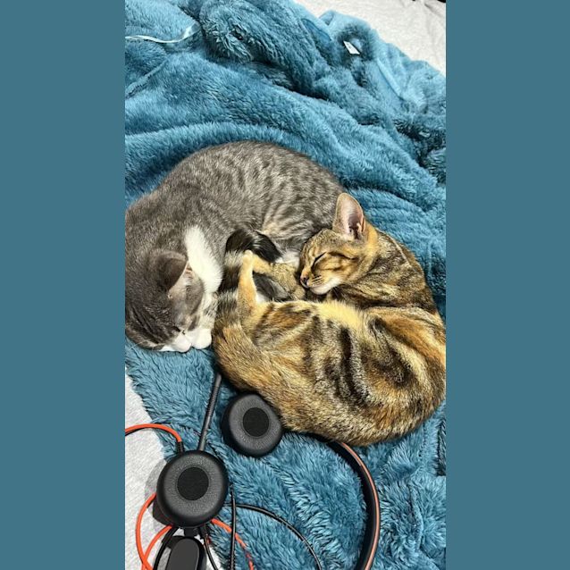 Photo of Bobbi & Coco