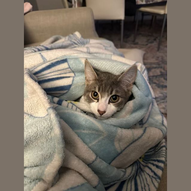 Photo of Bobbi & Coco