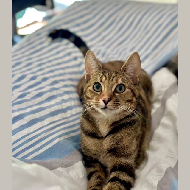 Photo of Bobbi & Coco