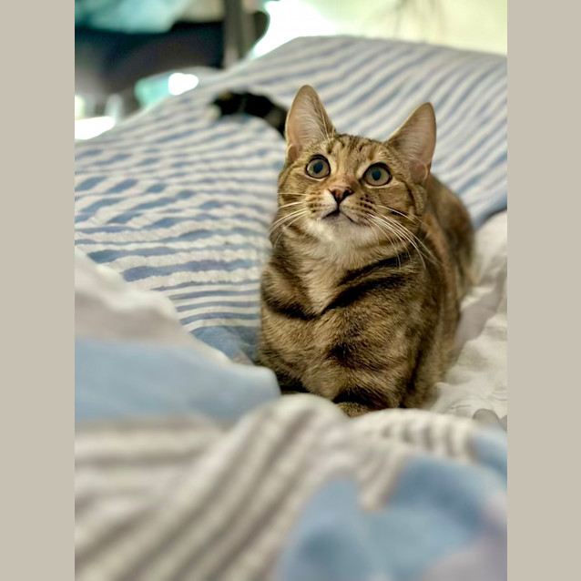 Photo of Bobbi & Coco