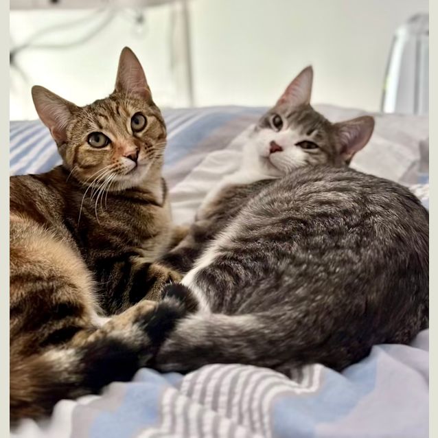 Photo of Bobbi & Coco