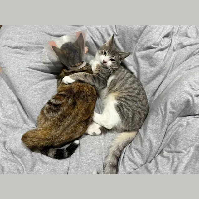 Photo of Bobbi & Coco