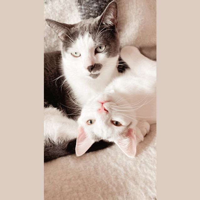 Photo of Peppa And Peanut
