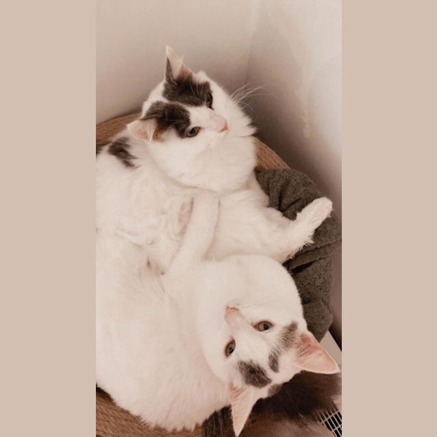 Photo of Peppa And Peanut