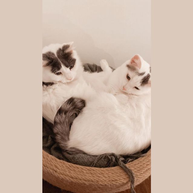 Photo of Peppa And Peanut
