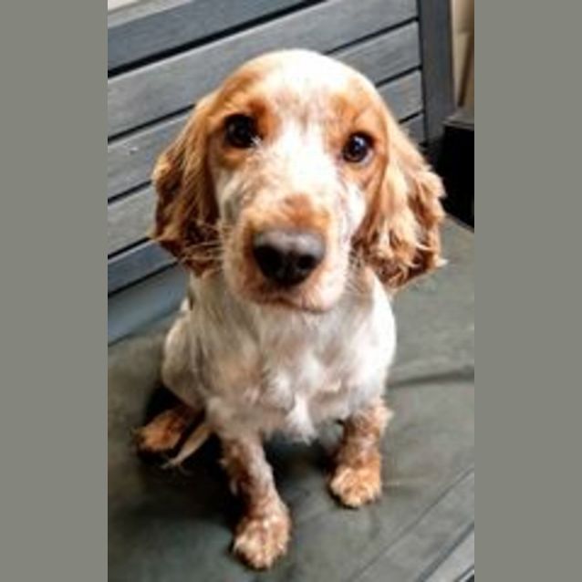 Photo of Zowie