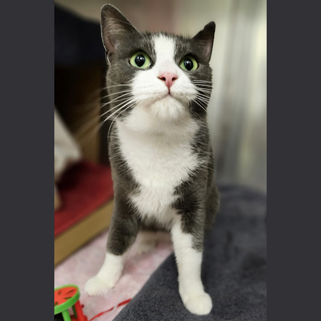 Photo of Delilah
