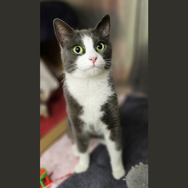 Photo of Delilah