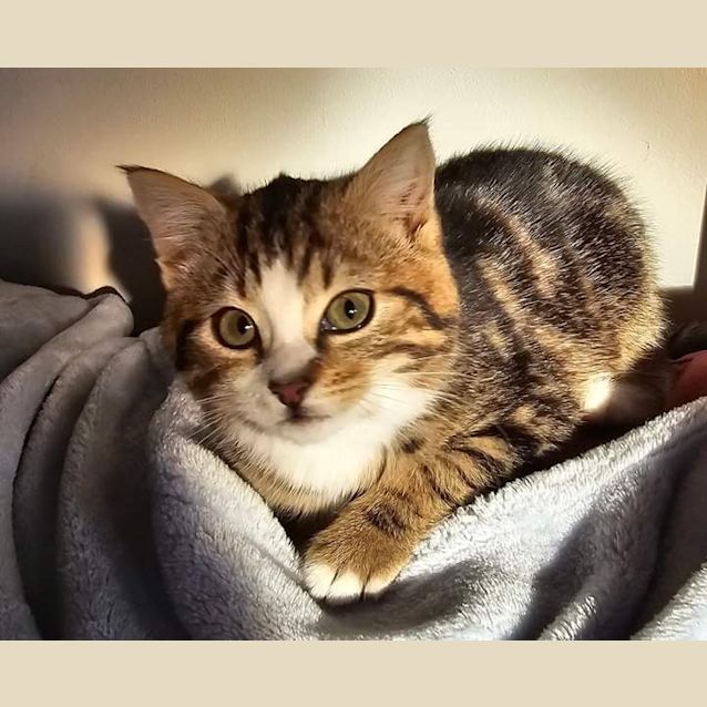 Photo of Buttons