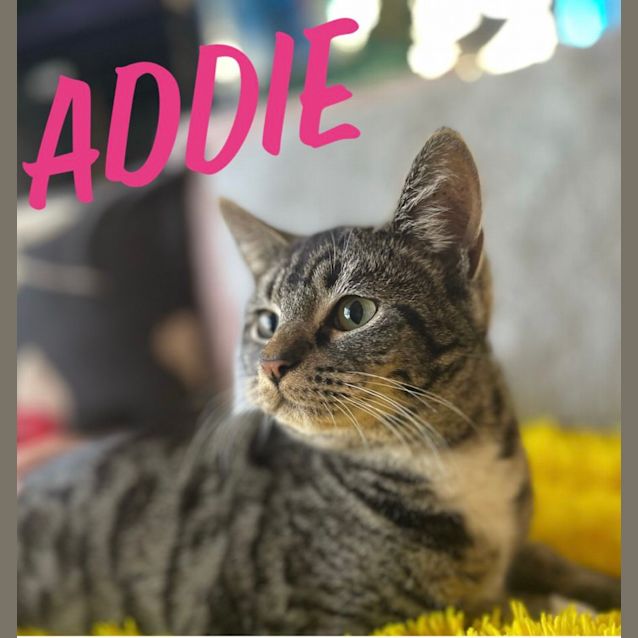 Photo of Addie