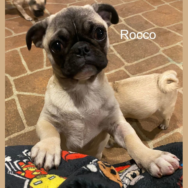 Photo of Rocco And Hamilton