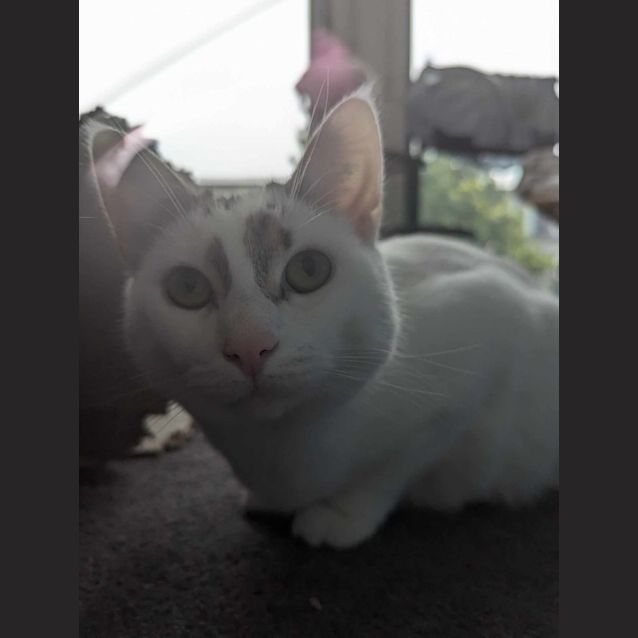 Photo of Herb & Dunkin