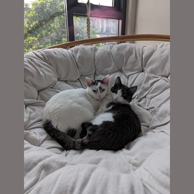 Photo of Dunkin & Herb