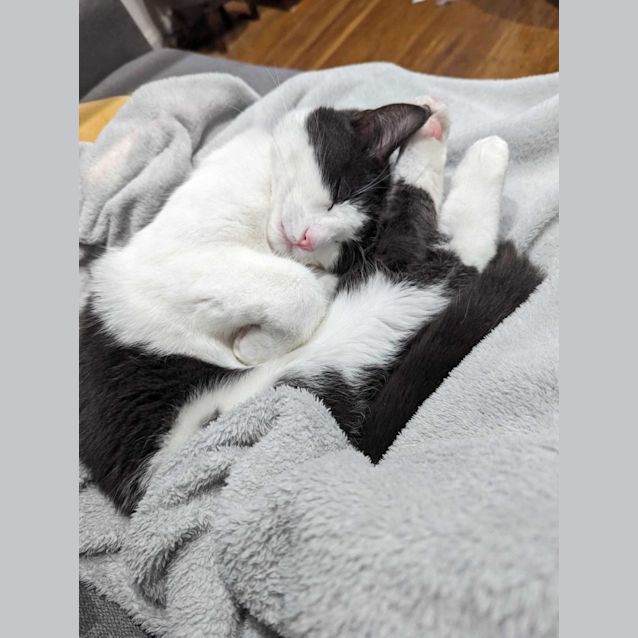 Photo of Dunkin & Herb