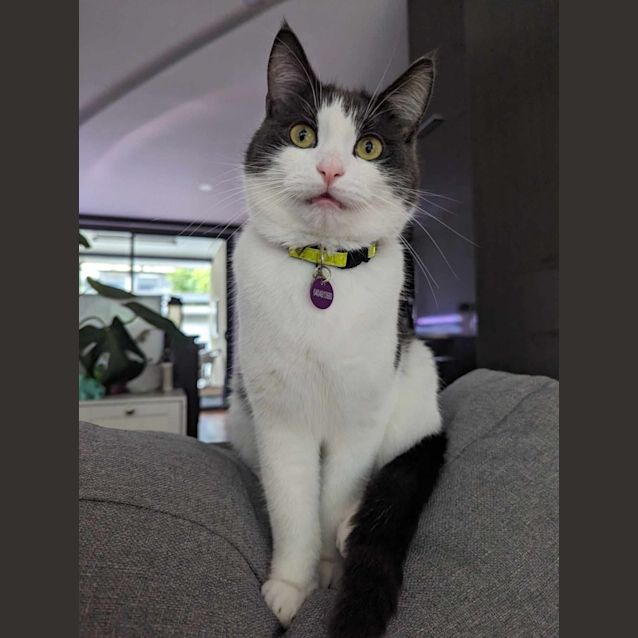 Photo of Dunkin & Herb