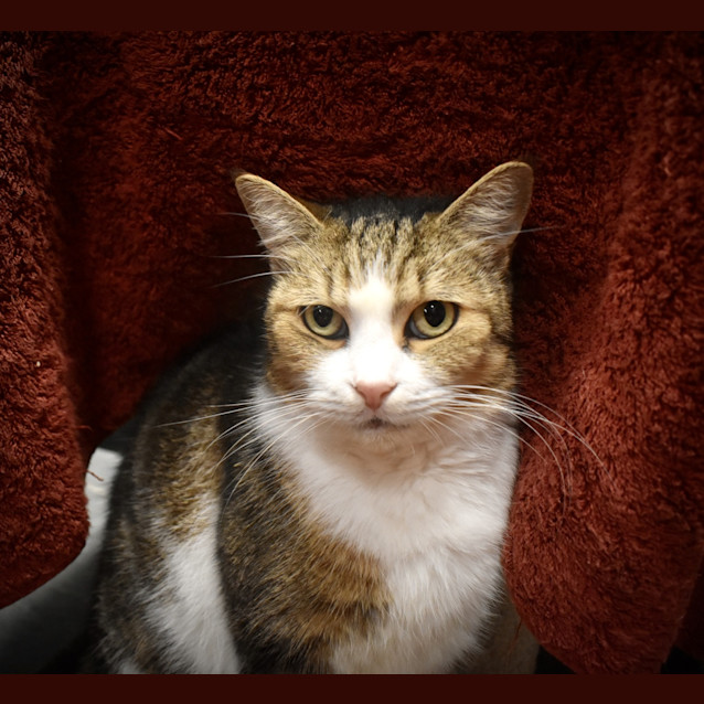 Photo of Mildred