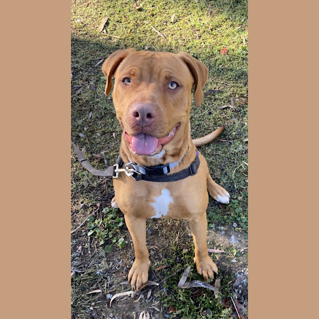 Photo of Bree