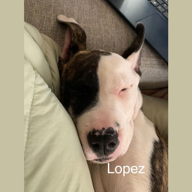 Photo of Lopez Or Aretha