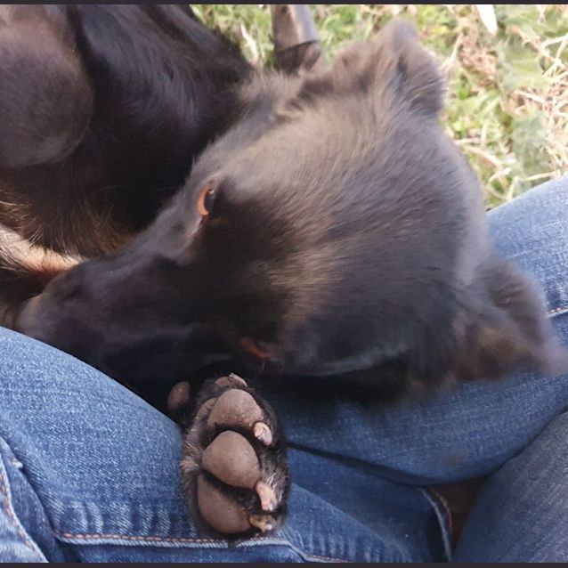 Photo of Penny
