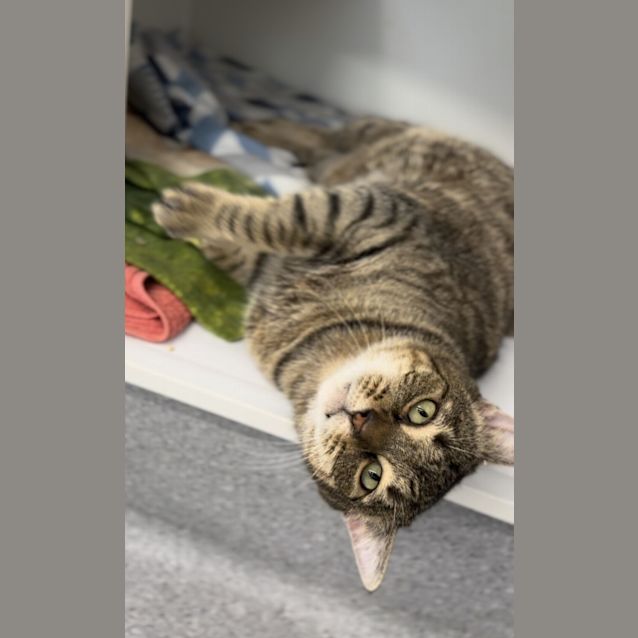 Photo of Ralphie