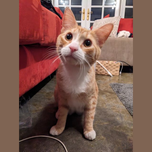 Photo of Charlie