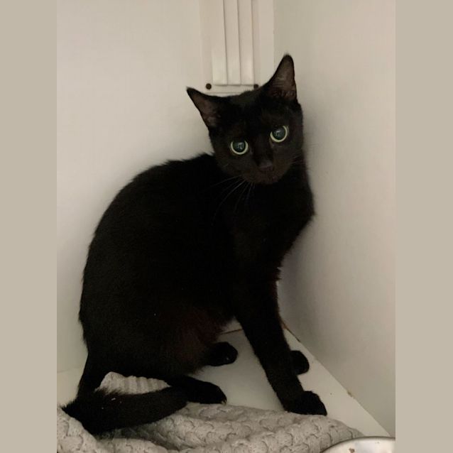 Photo of Roxy And Trixie