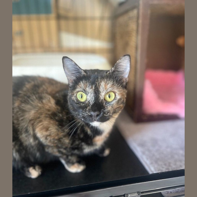 Photo of Tori And Mabel