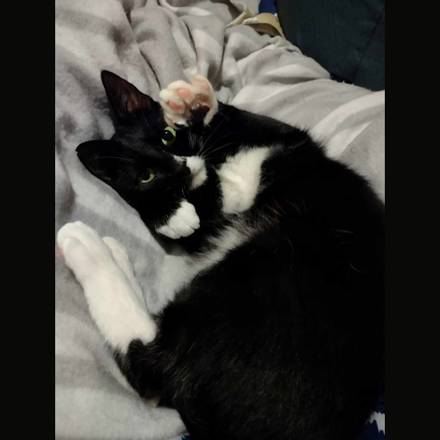 Photo of Peri Peri