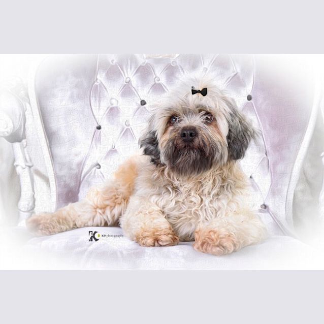 Photo of Stevie Nicks 