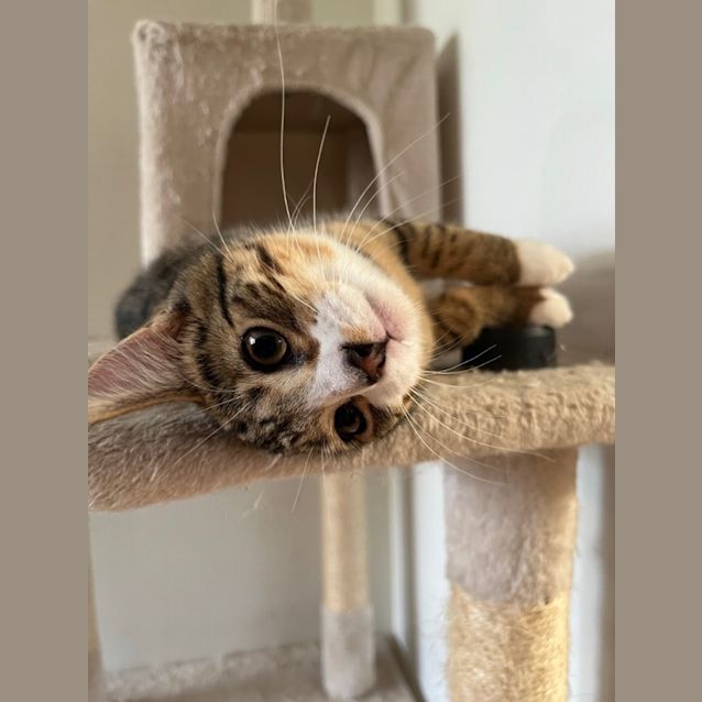Photo of Tiny