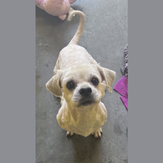 Photo of Teddy
