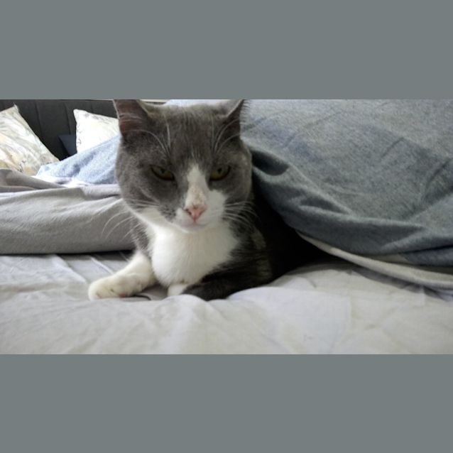Photo of Otway