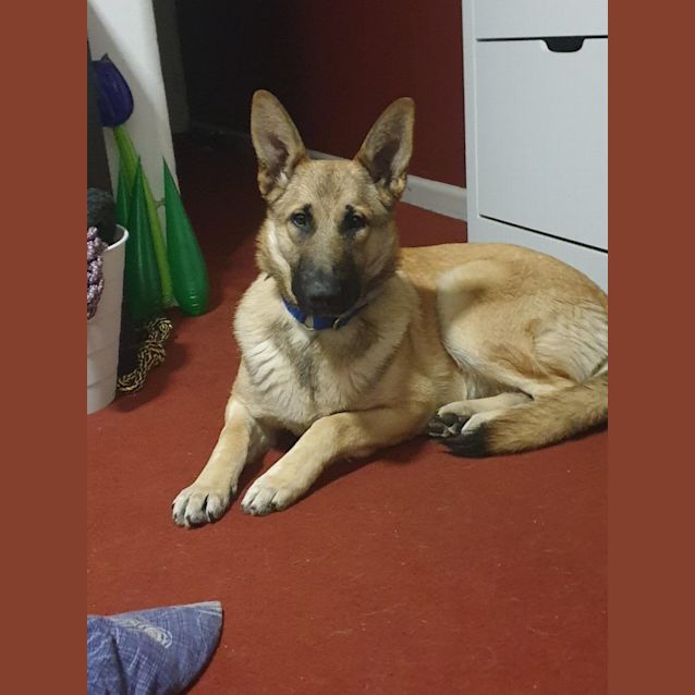 Photo of Ella